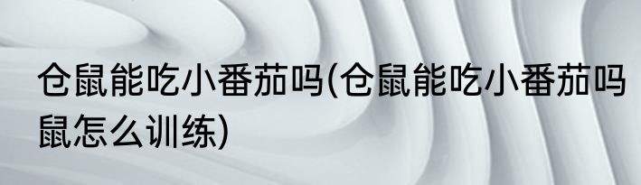 仓鼠能吃小番茄吗(仓鼠能吃小番茄吗鼠怎么训练)