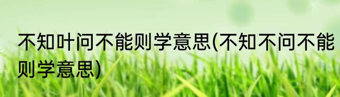 不知叶问不能则学意思(不知不问不能则学意思)