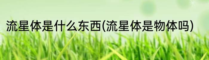 流星体是什么东西(流星体是物体吗)