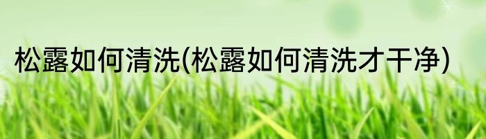松露如何清洗(松露如何清洗才干净)