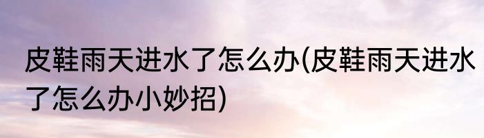 皮鞋雨天进水了怎么办(皮鞋雨天进水了怎么办小妙招)