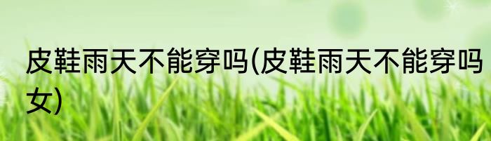 皮鞋雨天不能穿吗(皮鞋雨天不能穿吗女)