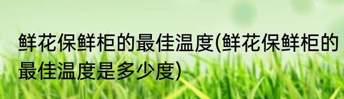 鲜花保鲜柜的最佳温度(鲜花保鲜柜的最佳温度是多少度)