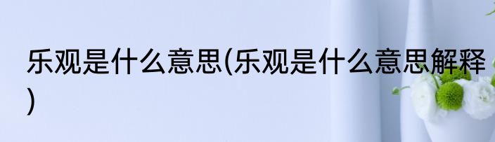 乐观是什么意思(乐观是什么意思解释)