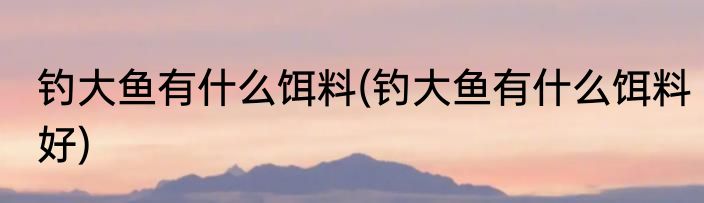 钓大鱼有什么饵料(钓大鱼有什么饵料好)