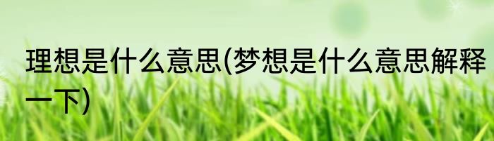 理想是什么意思(梦想是什么意思解释一下)