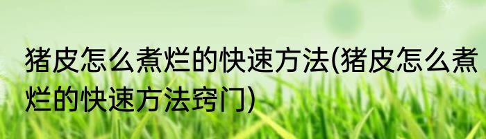 猪皮怎么煮烂的快速方法(猪皮怎么煮烂的快速方法窍门)