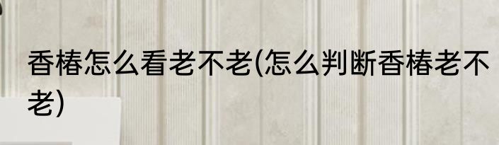 香椿怎么看老不老(怎么判断香椿老不老)
