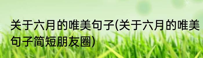 关于六月的唯美句子(关于六月的唯美句子简短朋友圈)