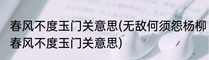 春风不度玉门关意思(无敌何须怨杨柳春风不度玉门关意思)