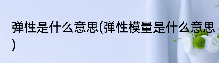 弹性是什么意思(弹性模量是什么意思)