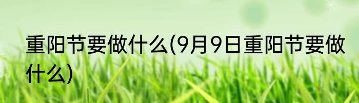 重阳节要做什么(9月9日重阳节要做什么)