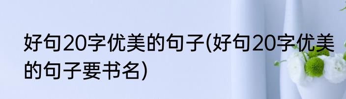 好句20字优美的句子(好句20字优美的句子要书名)