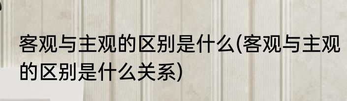 客观与主观的区别是什么(客观与主观的区别是什么关系)