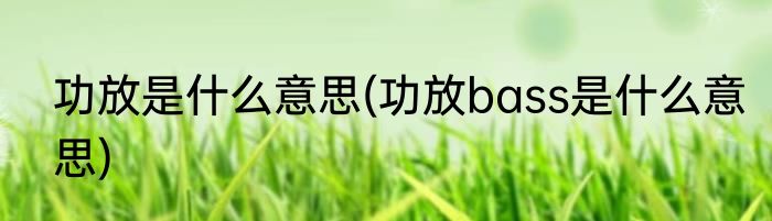 功放是什么意思(功放bass是什么意思)