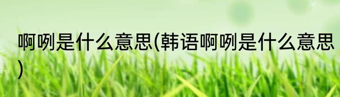 啊咧是什么意思(韩语啊咧是什么意思)