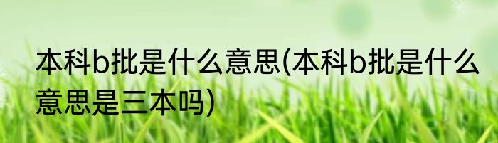 本科b批是什么意思(本科b批是什么意思是三本吗)