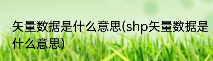 矢量数据是什么意思(shp矢量数据是什么意思)