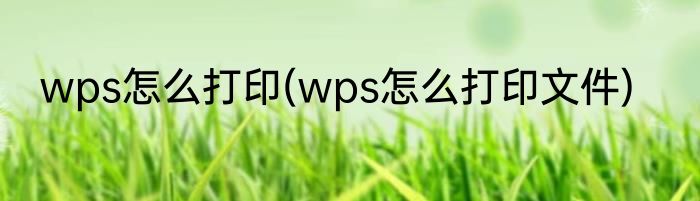 wps怎么打印(wps怎么打印文件)