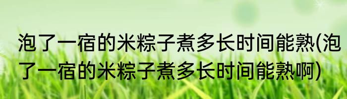泡了一宿的米粽子煮多长时间能熟(泡了一宿的米粽子煮多长时间能熟啊)