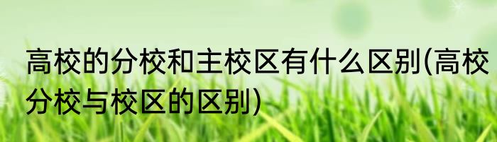 高校的分校和主校区有什么区别(高校分校与校区的区别)