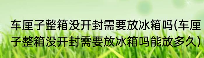 车厘子整箱没开封需要放冰箱吗(车厘子整箱没开封需要放冰箱吗能放多久)