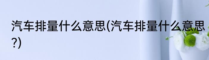 汽车排量什么意思(汽车排量什么意思?)