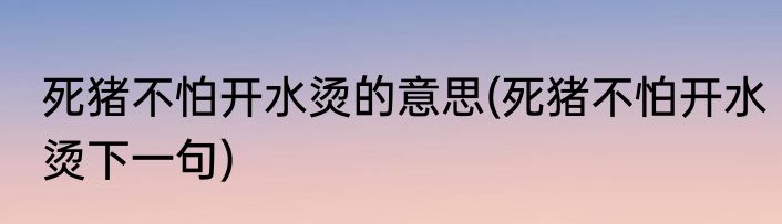 死猪不怕开水烫的意思(死猪不怕开水烫下一句)