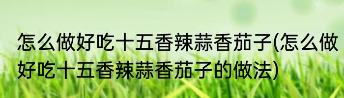 怎么做好吃十五香辣蒜香茄子(怎么做好吃十五香辣蒜香茄子的做法)