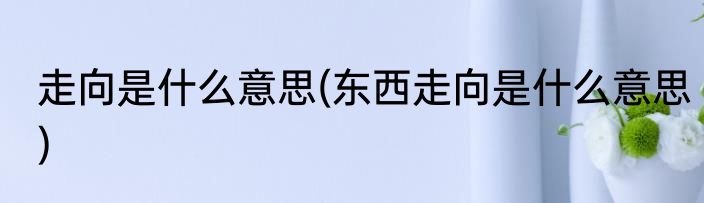 走向是什么意思(东西走向是什么意思)