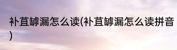 补苴罅漏怎么读(补苴罅漏怎么读拼音)