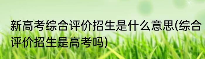 新高考综合评价招生是什么意思(综合评价招生是高考吗)