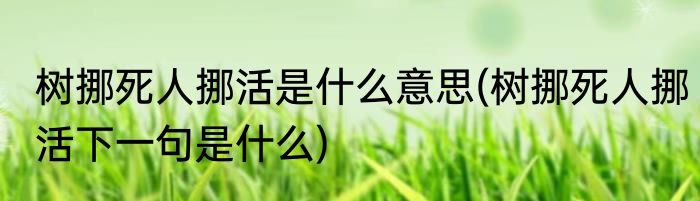 树挪死人挪活是什么意思(树挪死人挪活下一句是什么)