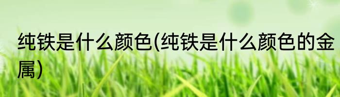 纯铁是什么颜色(纯铁是什么颜色的金属)