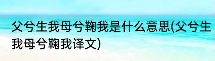 父兮生我母兮鞠我是什么意思(父兮生我母兮鞠我译文)