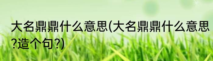 大名鼎鼎什么意思(大名鼎鼎什么意思?造个句?)