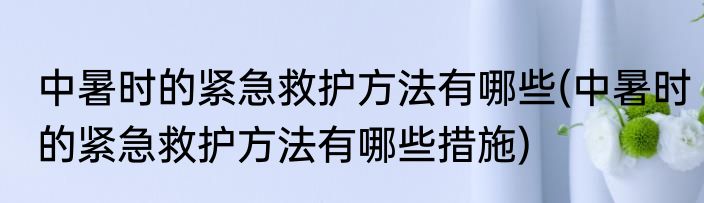 中暑时的紧急救护方法有哪些(中暑时的紧急救护方法有哪些措施)