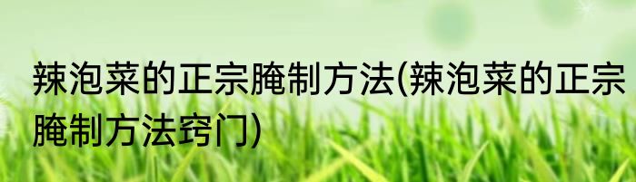 辣泡菜的正宗腌制方法(辣泡菜的正宗腌制方法窍门)