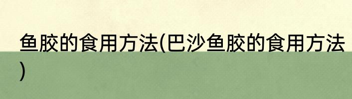 鱼胶的食用方法(巴沙鱼胶的食用方法)