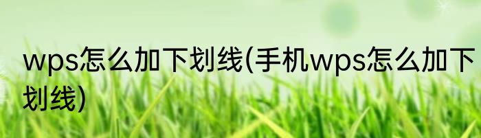 wps怎么加下划线(手机wps怎么加下划线)