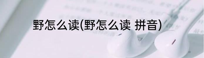 野怎么读(野怎么读 拼音)