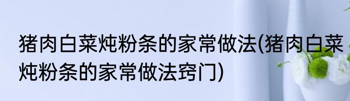 猪肉白菜炖粉条的家常做法(猪肉白菜炖粉条的家常做法窍门)