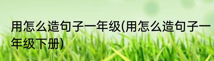 用怎么造句子一年级(用怎么造句子一年级下册)