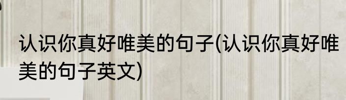 认识你真好唯美的句子(认识你真好唯美的句子英文)