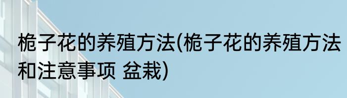 桅子花的养殖方法(桅子花的养殖方法和注意事项 盆栽)