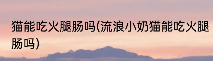 猫能吃火腿肠吗(流浪小奶猫能吃火腿肠吗)