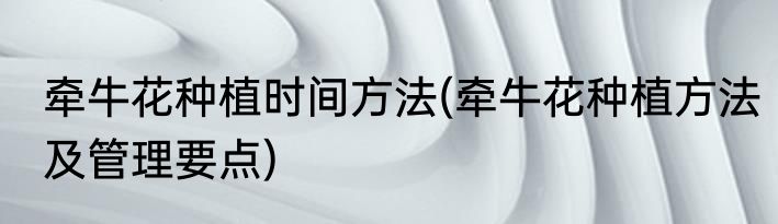 牵牛花种植时间方法(牵牛花种植方法及管理要点)