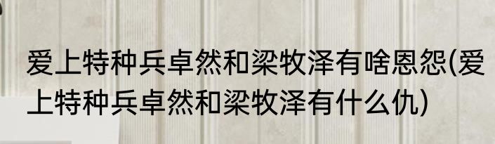 爱上特种兵卓然和梁牧泽有啥恩怨(爱上特种兵卓然和梁牧泽有什么仇)