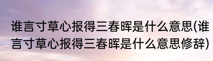 谁言寸草心报得三春晖是什么意思(谁言寸草心报得三春晖是什么意思修辞)