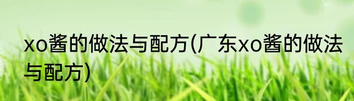 xo酱的做法与配方(广东xo酱的做法与配方)